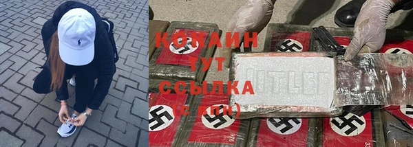 гашиш Богданович