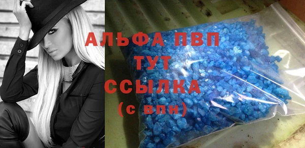 гашиш Богданович