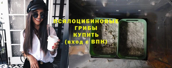 гашиш Богданович